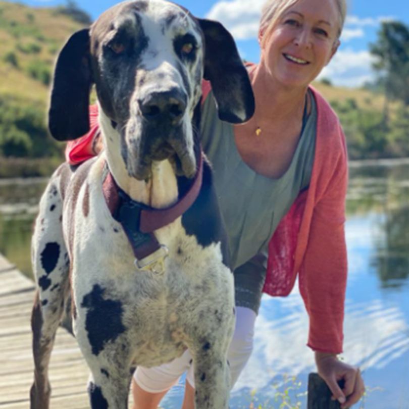 Committed to Working With Love: